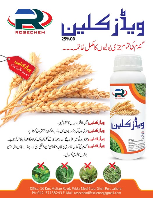 ROSECHEM Weeds Clean 25% OD wheat herbicide bottle