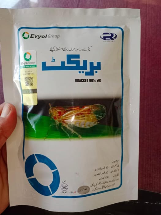 ROSECHEM Bracket 60% WG water dispersible granule insecticide sachet